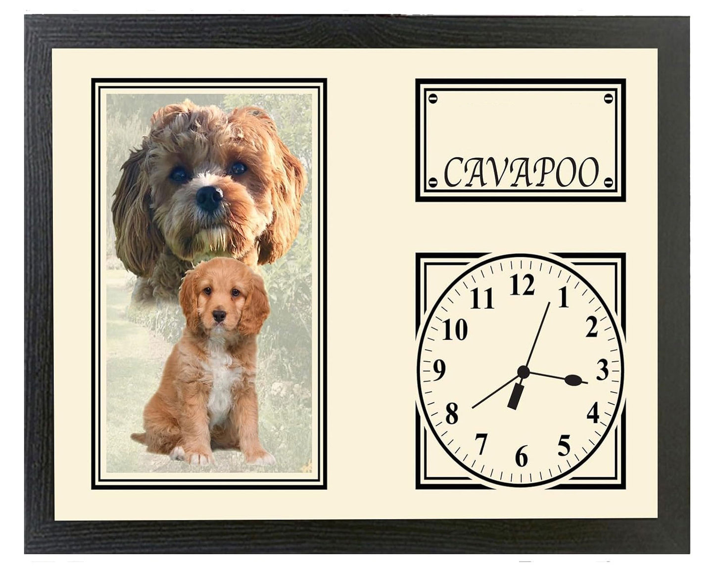 Cavapoo Personalised with Your Dog's Name Dog Breed A4 cream black Wall mounted Kitchen Bedroom Gift Clock