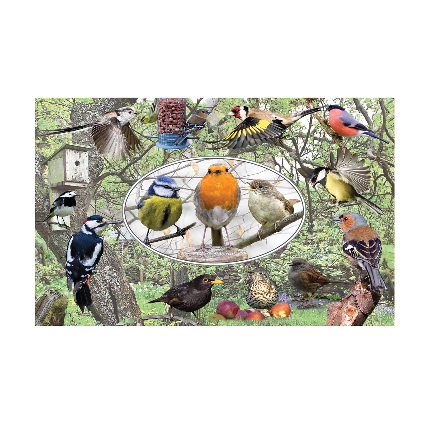 British Garden Birds Toughened Glass Heat Resistant Worktop Saver Cutting and Chopping Board Gift