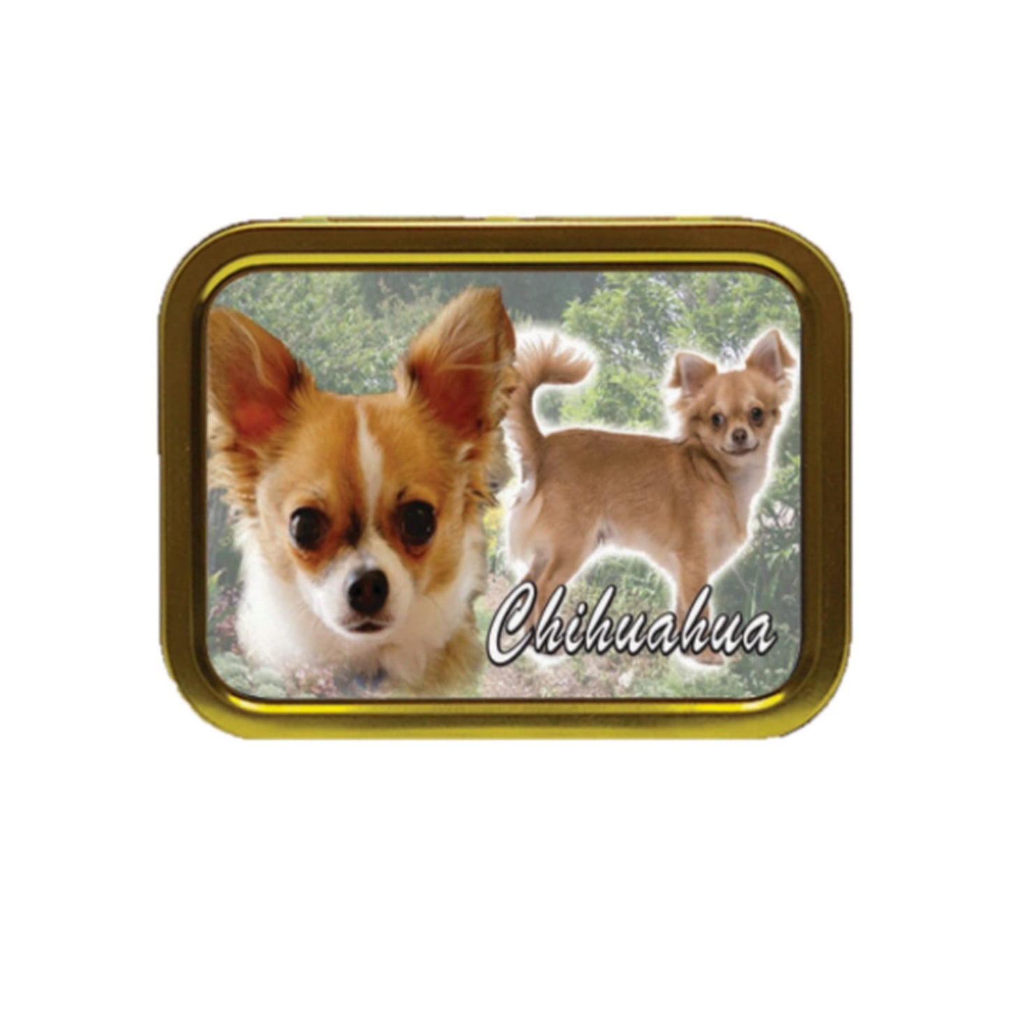 Chihuahua Dog Breed Tobacco Tin & Products Gift