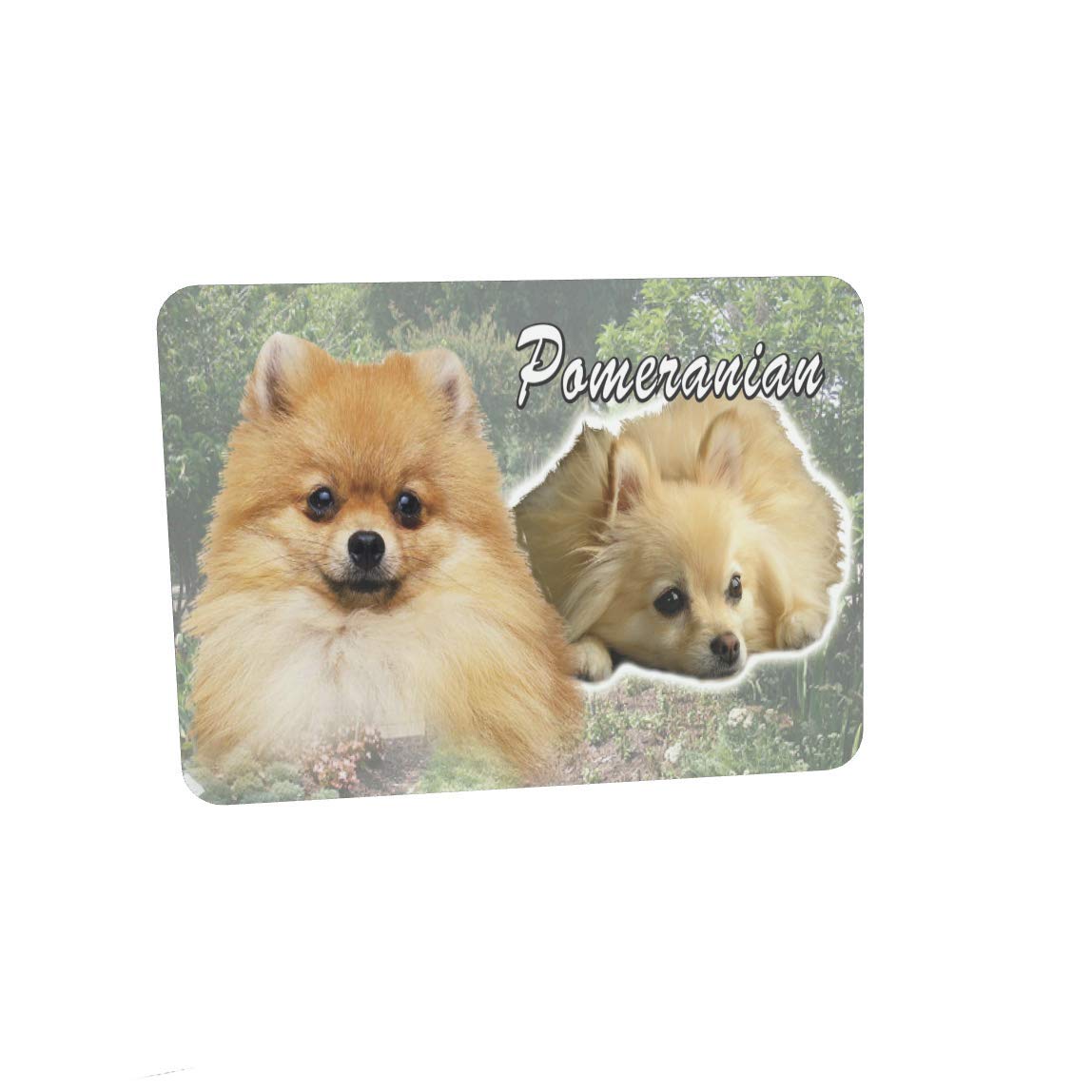 Pomeranian Dog Breed Mouse Mat Gift