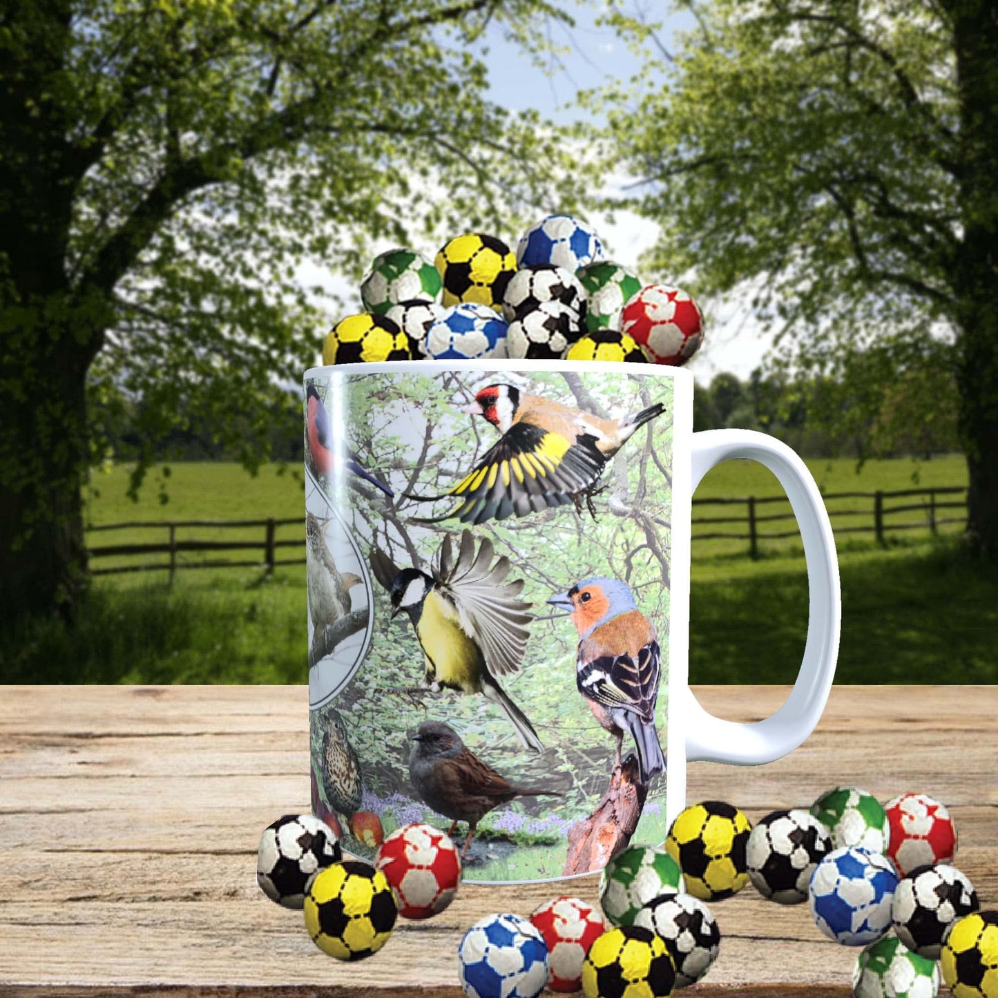 British Garden Birds Mug with Choice of Sweets Gift