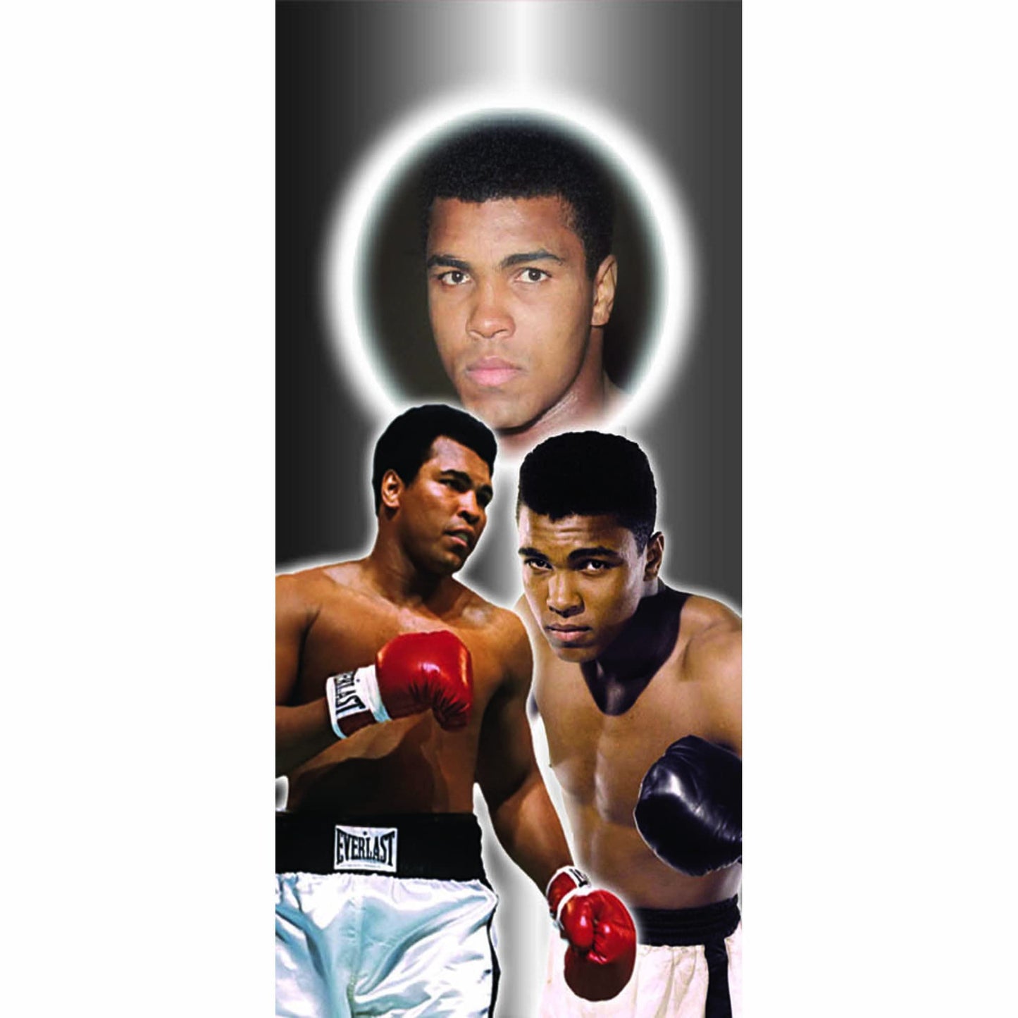 Ali Personalised Icon Rechargeable Gift Boxed Silver Metal USB Lighter Boxing Champion
