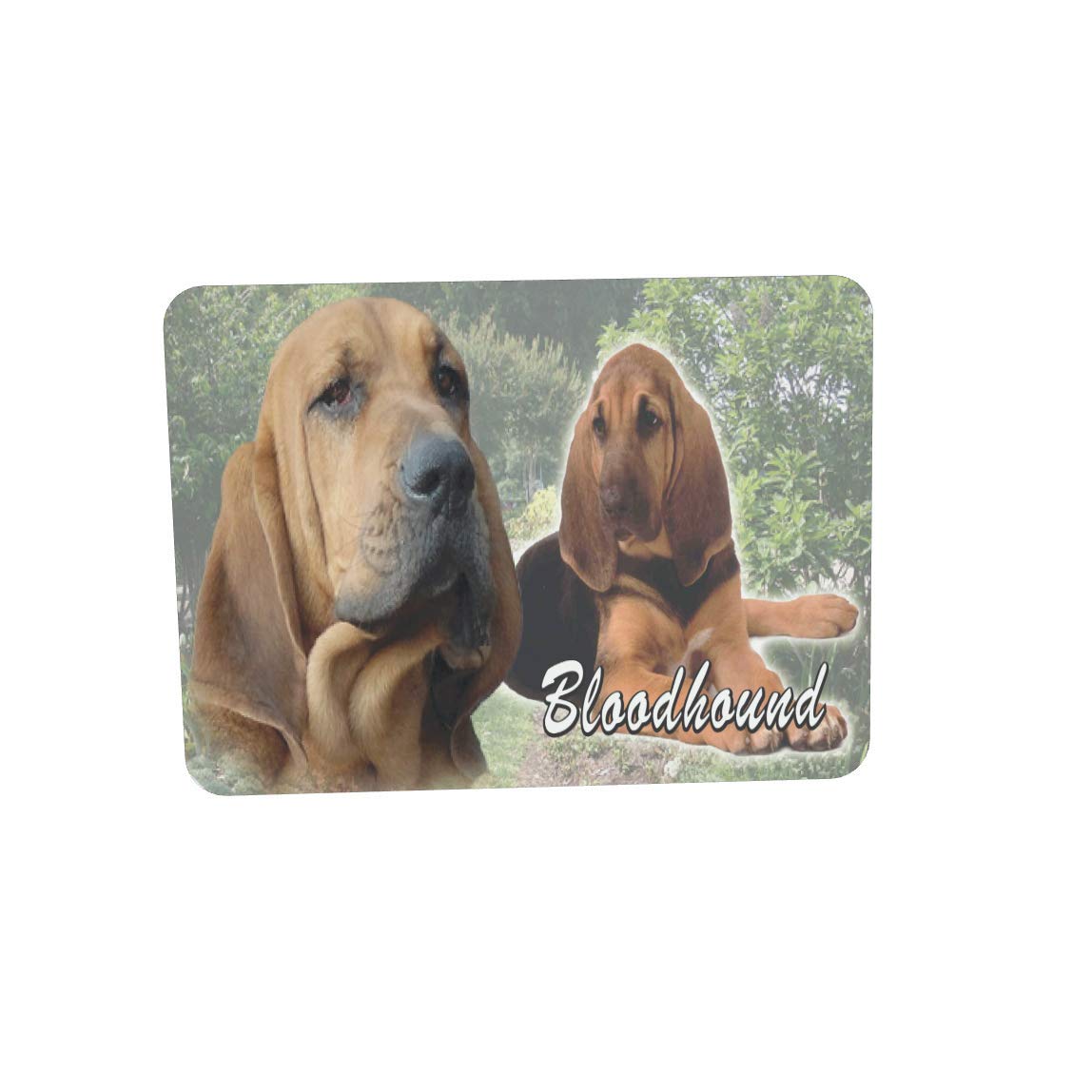 Bloodhound Dog Breed Mouse Mat Gift
