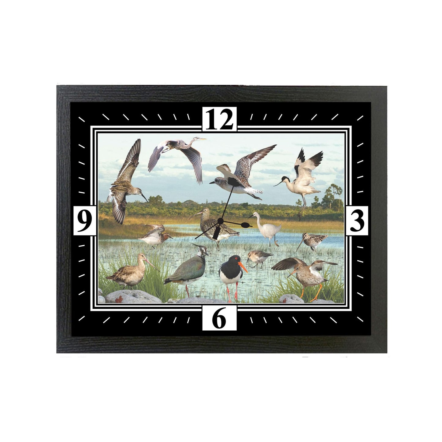 British Wetland Bird Ornithophile, Birder Wall Clock Gift