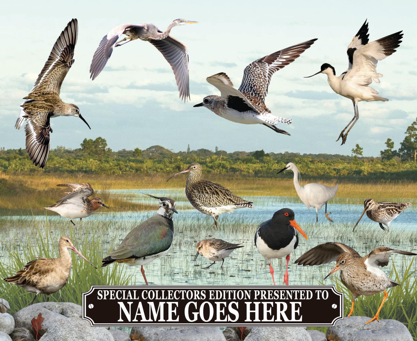 Personalised British Wetland Bird Ornithophile, Birder Mouse Mat Gift