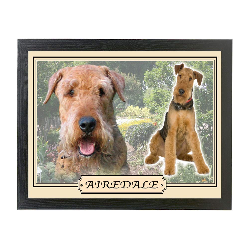 Airedale Terrier dog breed framed picture gift