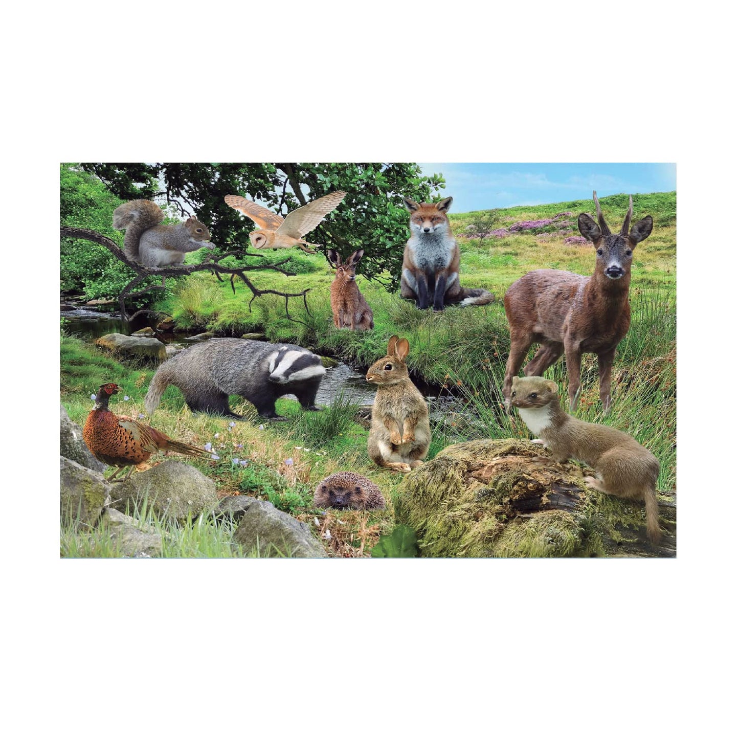 British Countryside Wildlife Animals Toughened Glass Heat Resistant Worktop Saver Cutting and Chopping Board Gift