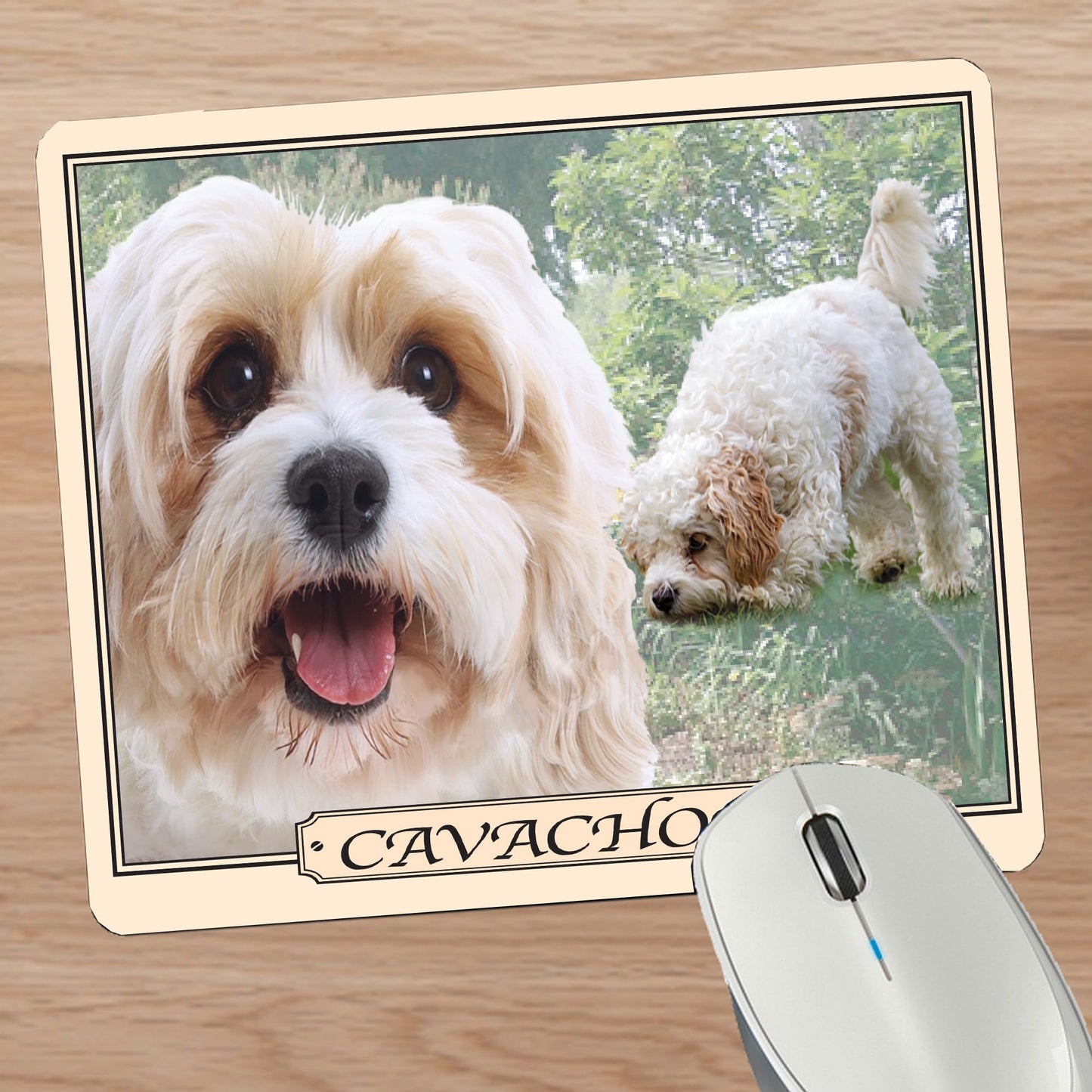 Cavachon Dog Breed Mouse Mat Gift