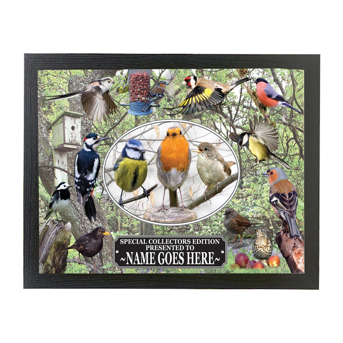 British Garden Birds Personalised Framed Wall Hanging Picture Gift