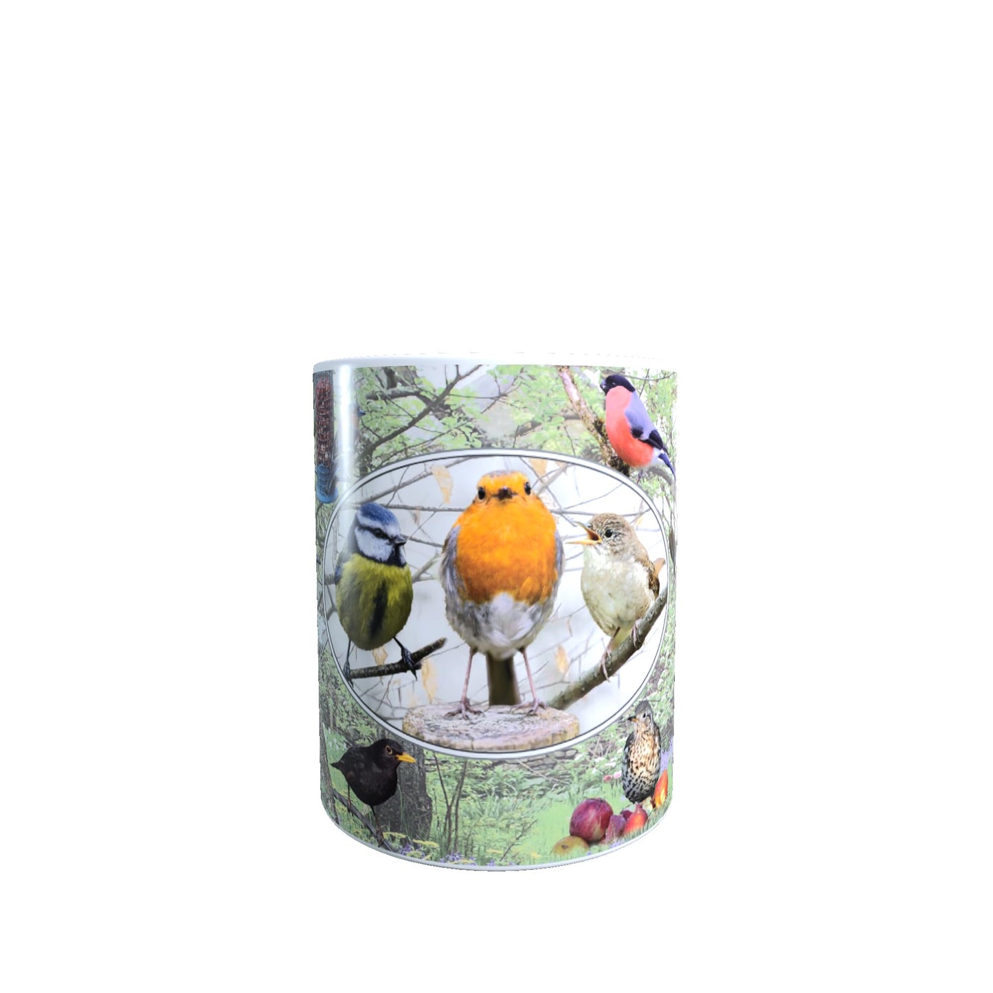 British Garden Birds Nature Lap Tray & Mug Gift Set, DIV001LTP