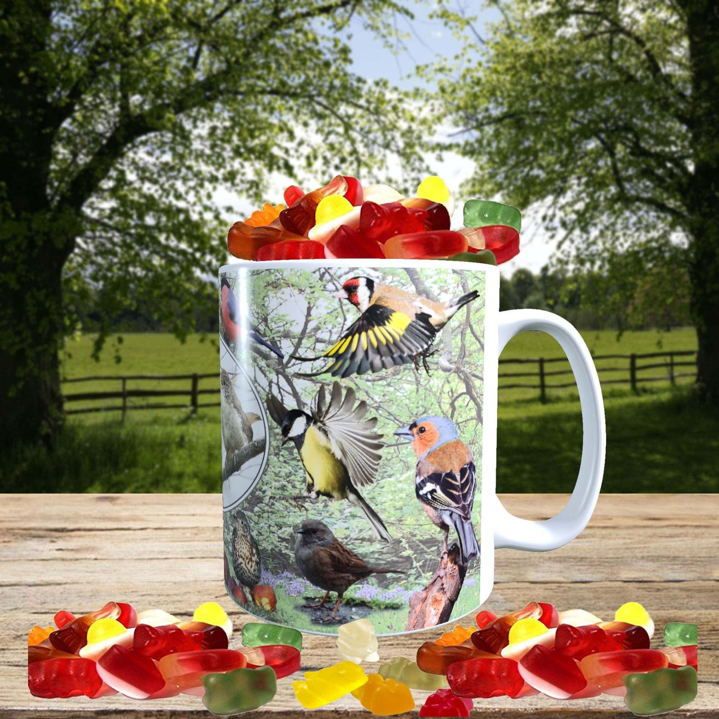 British Garden Birds Mug with Choice of Sweets Gift