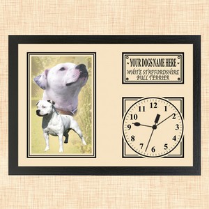 Personalised White Staffordshire Bull Terrier Framed Dog Clock