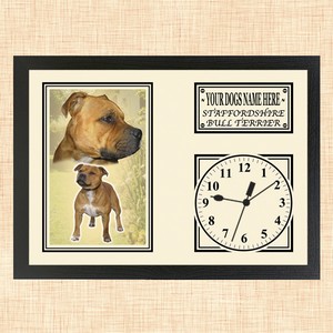 Personalised Brown Staffordshire Bull Terrier Framed Dog Clock