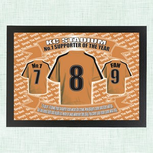 Hull City Personalised Football Shirt Picture