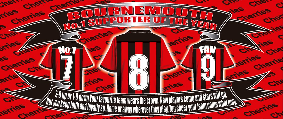 Bournemouth Football Shirt Ceramic Money Box Gift