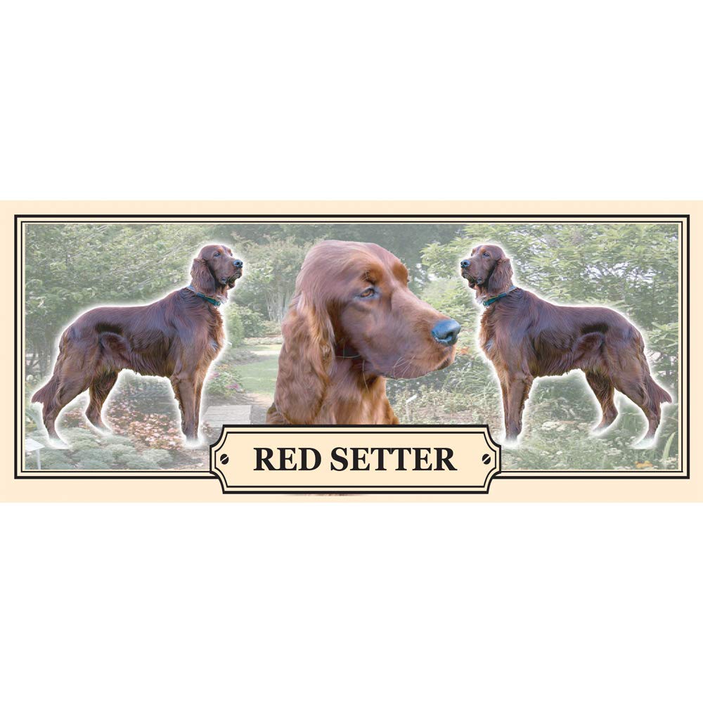 Red Setter Dog Breed Gift Mug with Treats