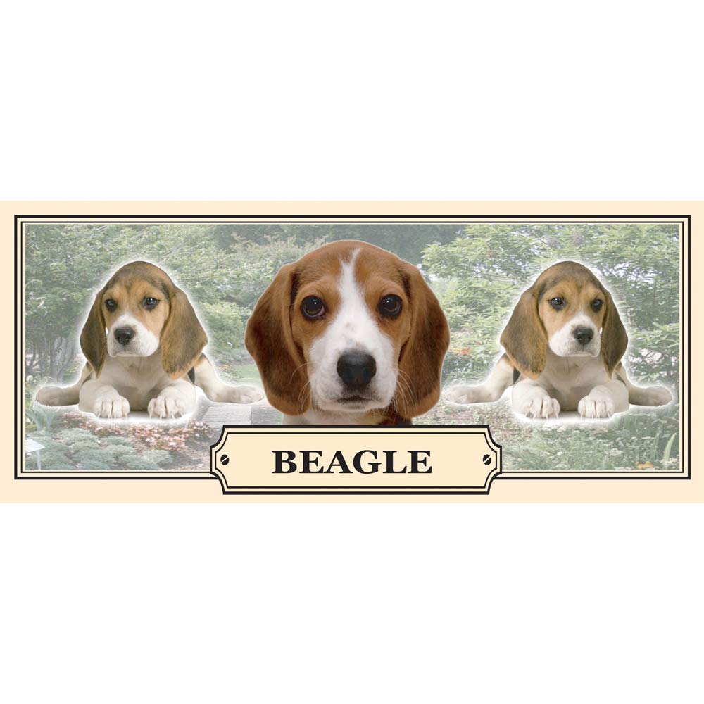 Beagle Dog Breed Mug Gift with Dog Treats