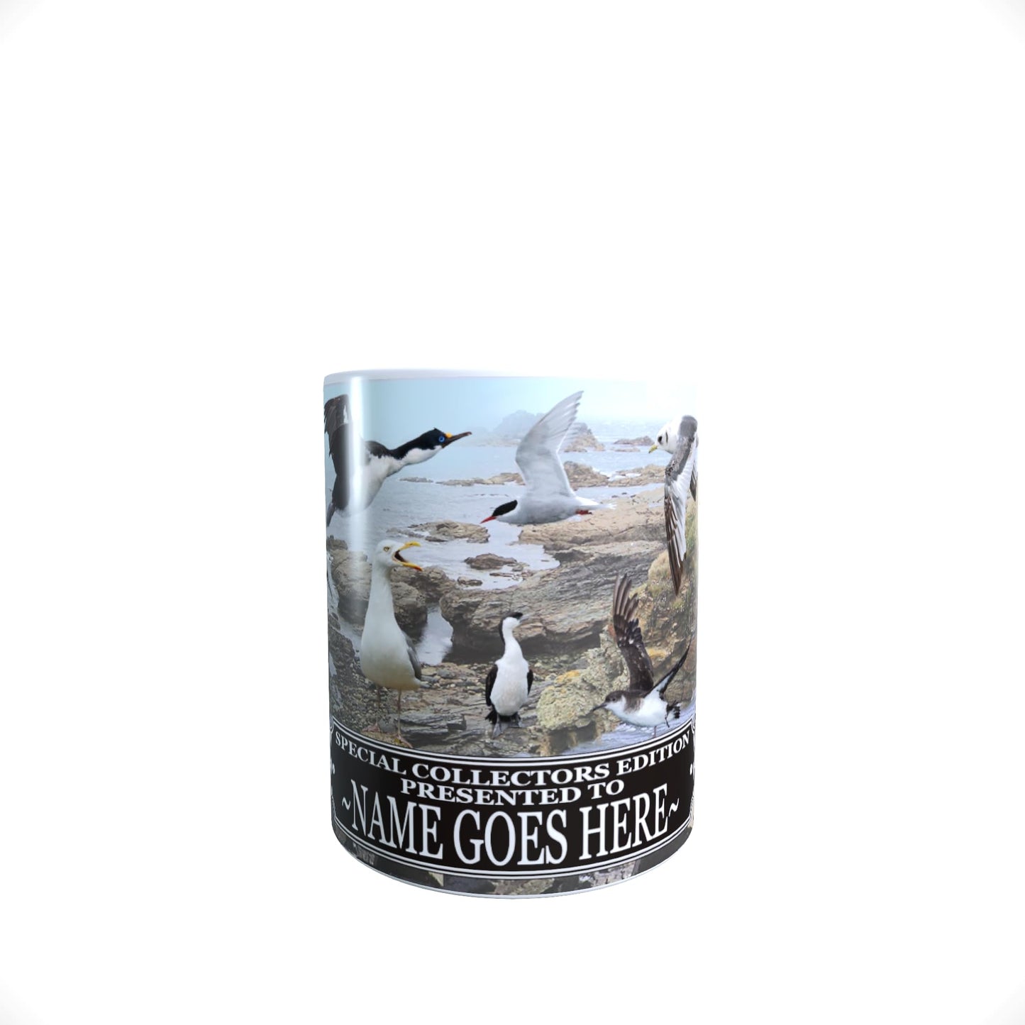 Coastal Birds Personalised Mug Gift, COASTBIRDMUGPERS_000