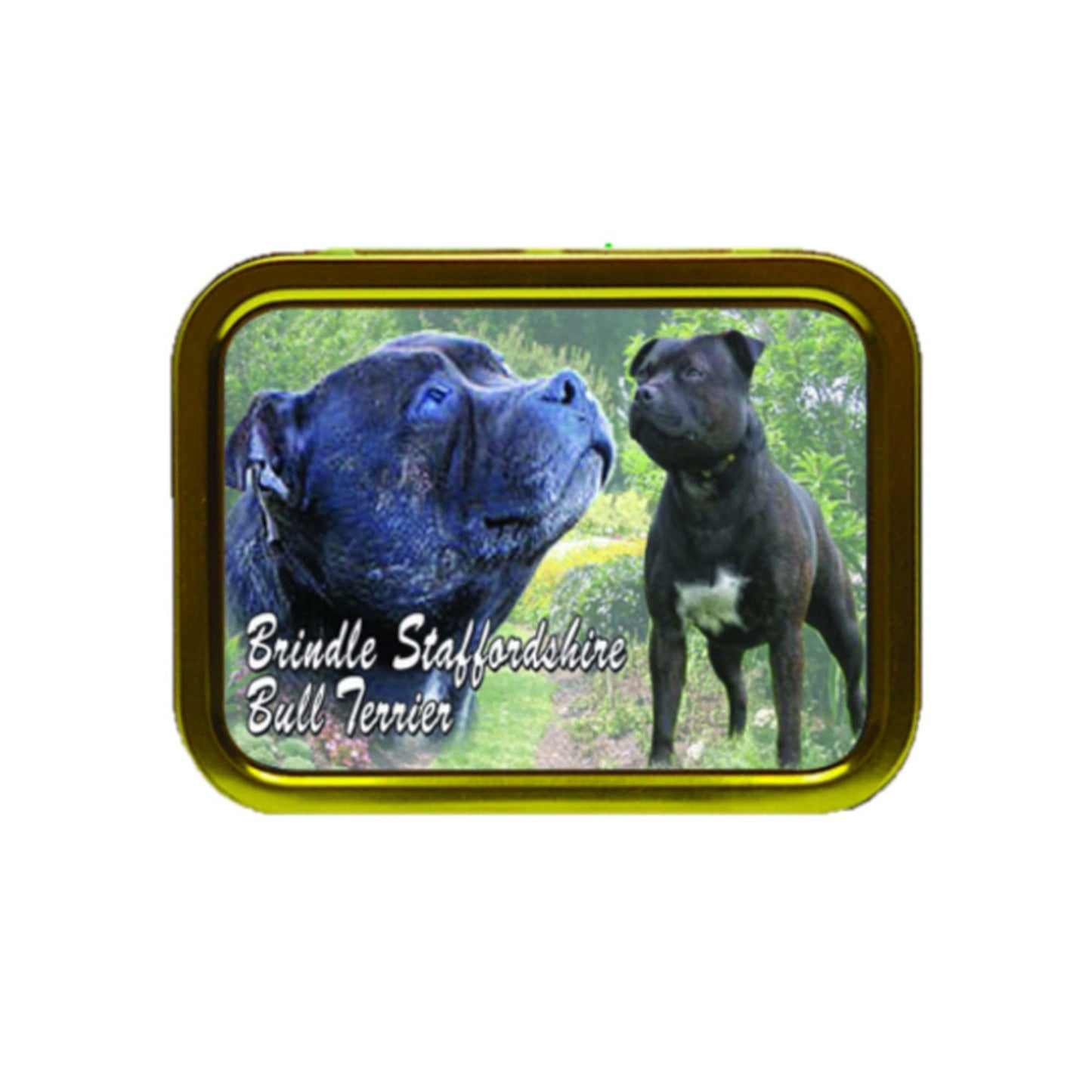 Brindle Staffordshire Bull Terrier Dog Breed Tobacco Tin & Products Gift