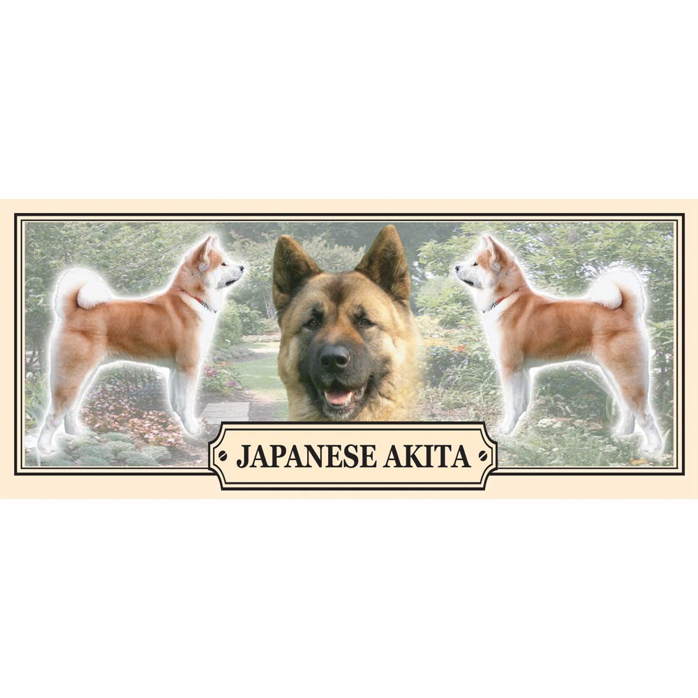 Japanese Akita Dog Breed Gift Mug with Treats