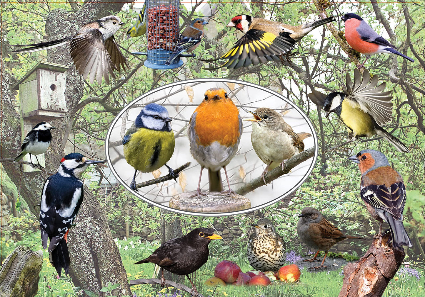 British Garden Birds Toughened Glass Heat Resistant Worktop Saver Cutting and Chopping Board Gift