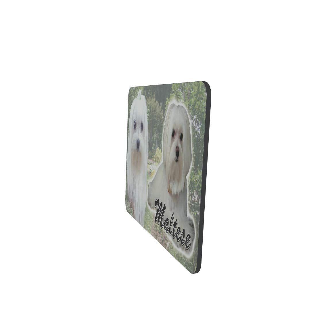 Maltese Dog Breed Mouse Mat Gift