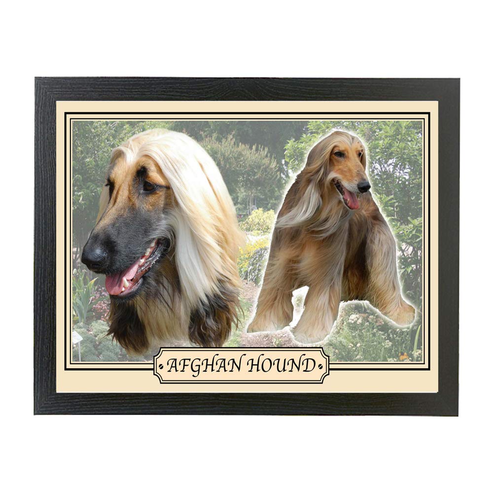 Afghan Hound dog breed framed picture gift