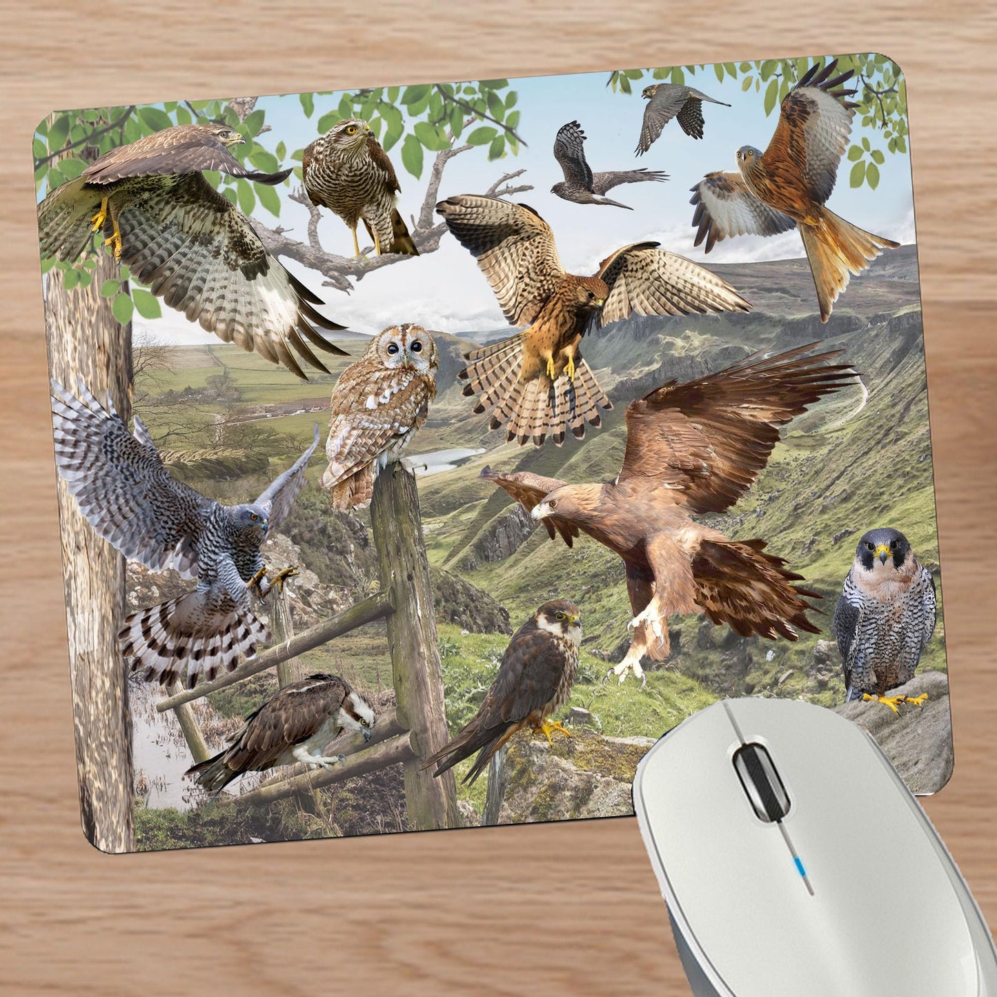 British Bird Of Prey Mouse Mat Gift