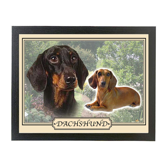 Dachshund dog breed framed picture gift