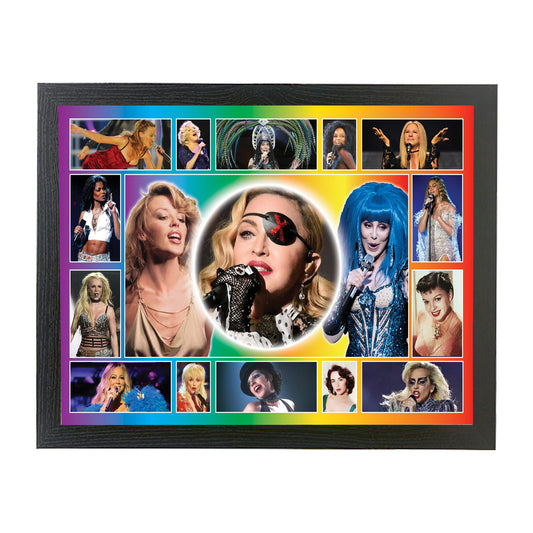 Diva Gay Pride Framed Wall Hanging Picture Gift
