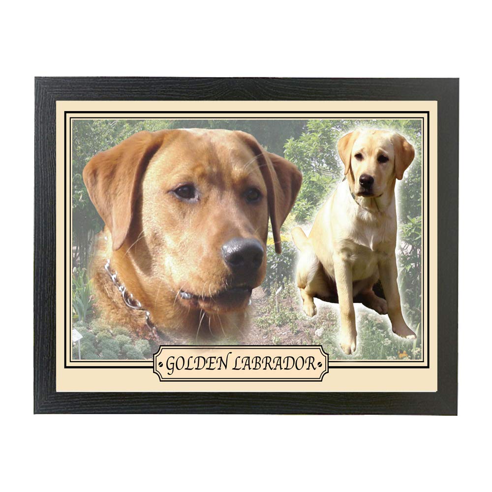 Golden Labrador Dog Breed Gift Lap Tray
