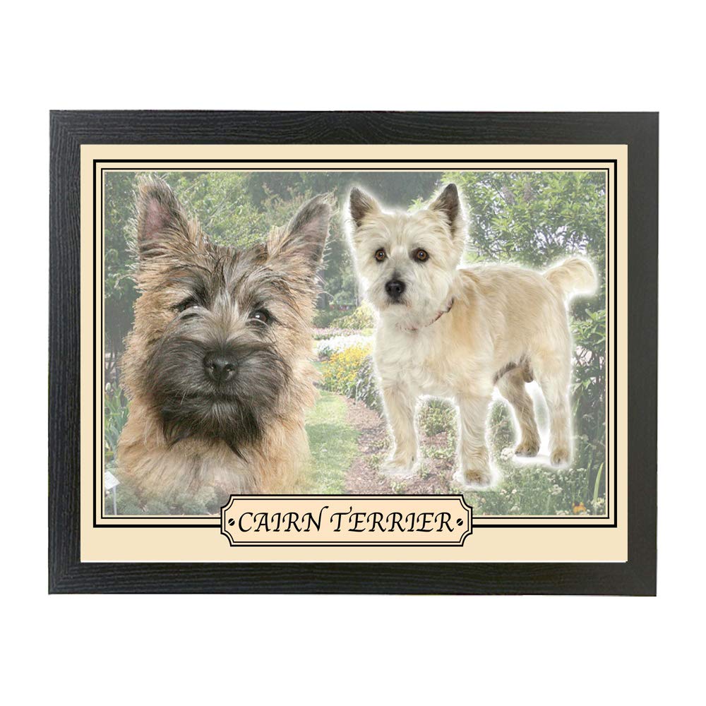 Cairn Terrier dog breed framed picture gift