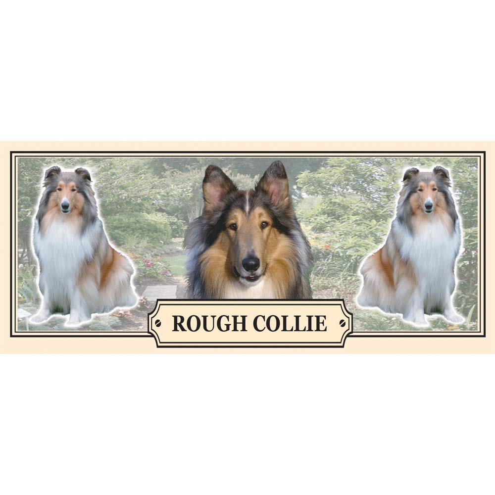 Rough Collie Dog Breed Gift Mug with Treats