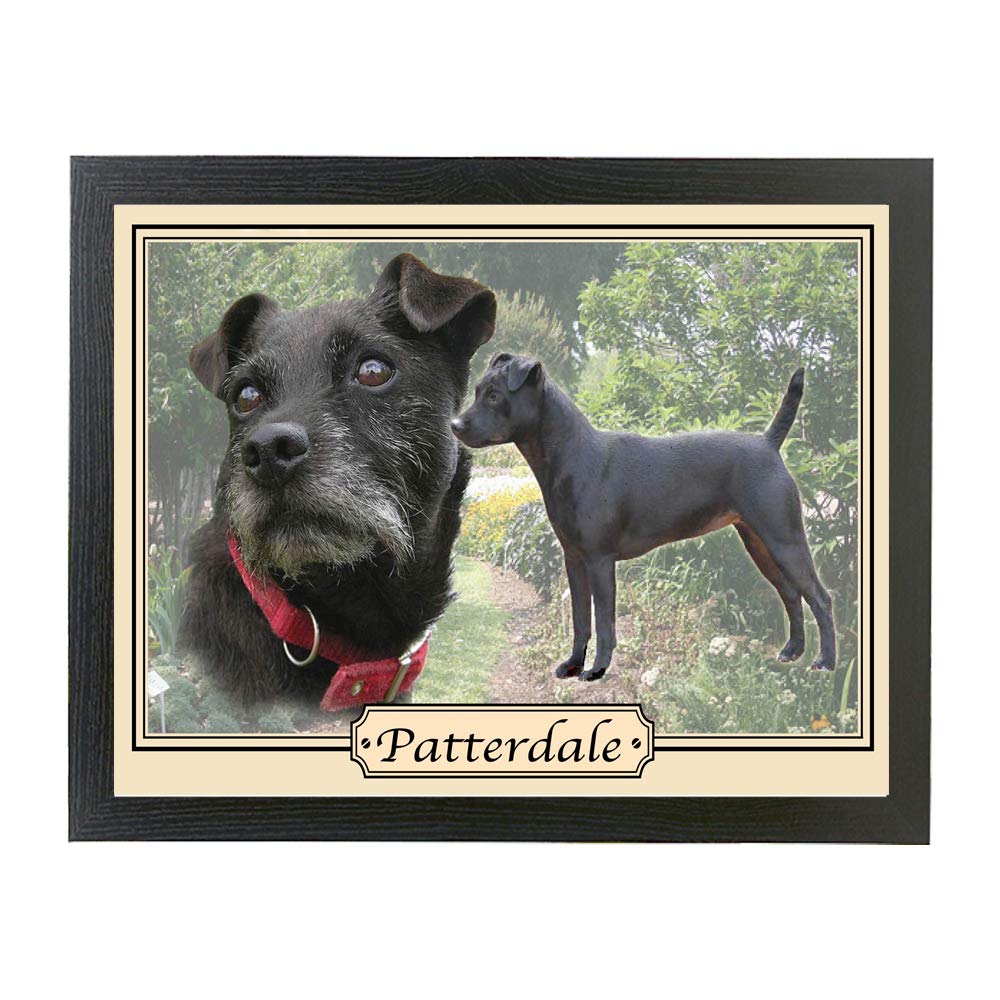 Personalised Gift Products Patterdale Terrier Dog Breed Framed Picture Gift for Living Room