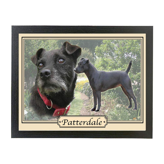 Personalised Gift Products Patterdale Terrier Dog Breed Framed Picture Gift for Living Room