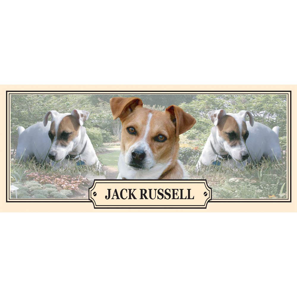 Jack Russell Dog Breed Gift Mug with Treats