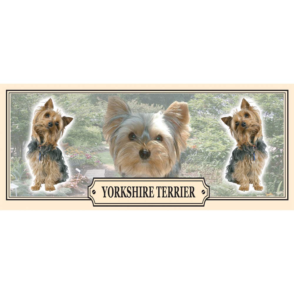 Yorkshire Terrier Dog Breed Gift Mug with Treats