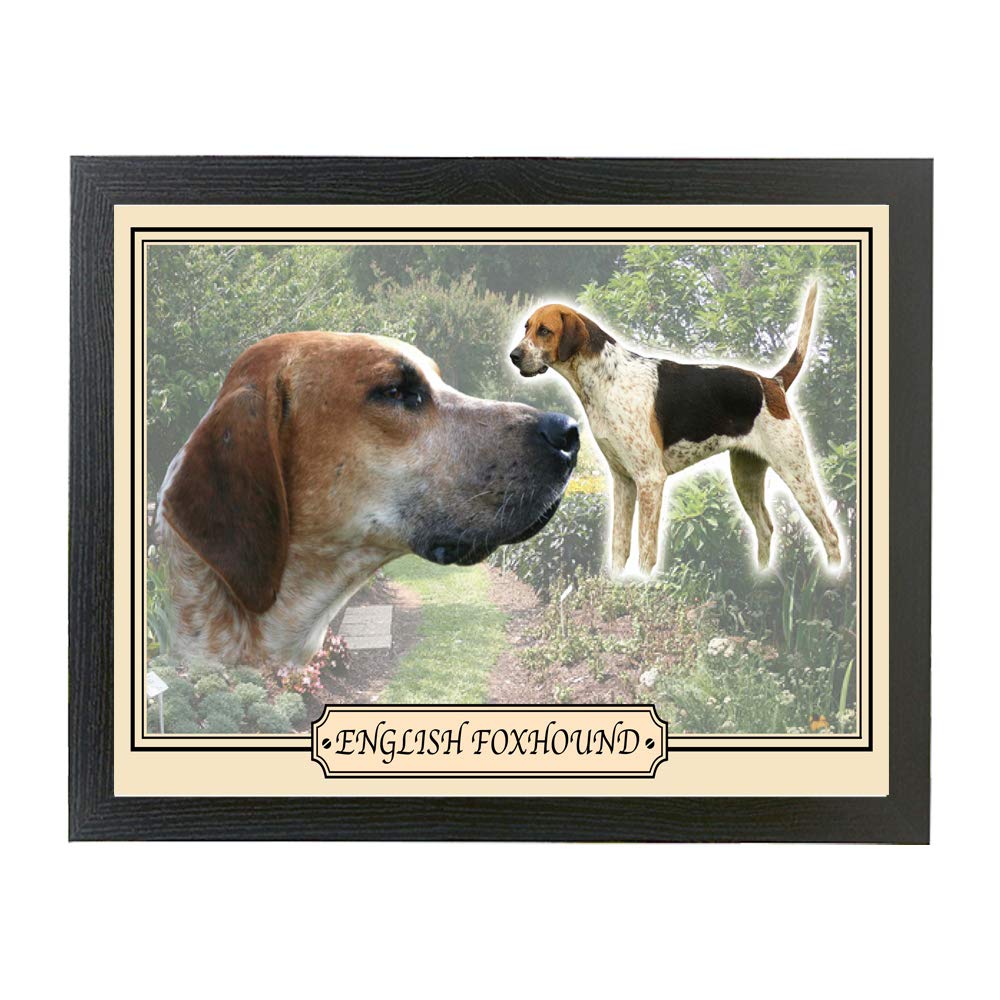 English Foxhound dog breed framed picture gift