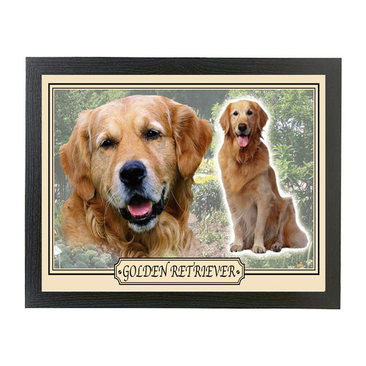 Golden Retriever dog breed framed picture gift