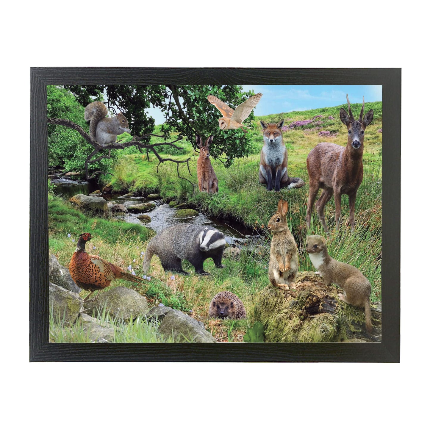 British Countryside Wildlife Animals Lap Tray Present Gift