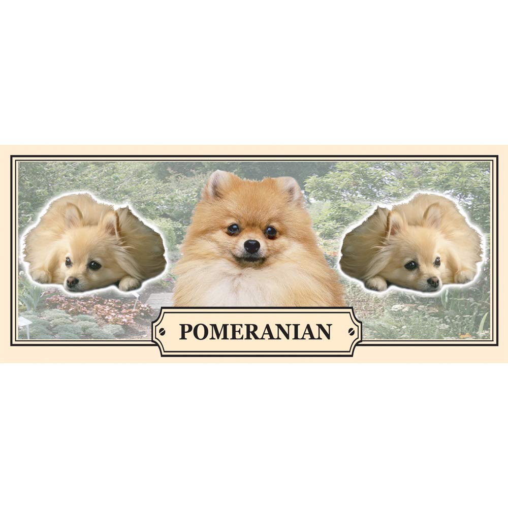 Pomeranian Dog Breed Gift Mug with Treats