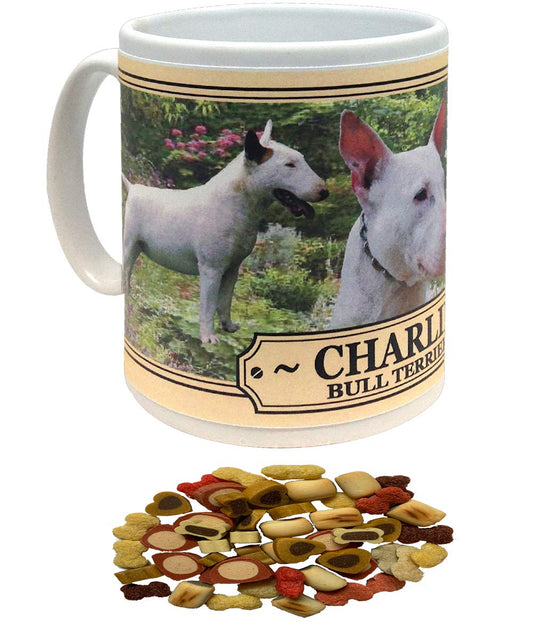 Bull Terrier Personalised Dog Breed Gift Mug with Treats