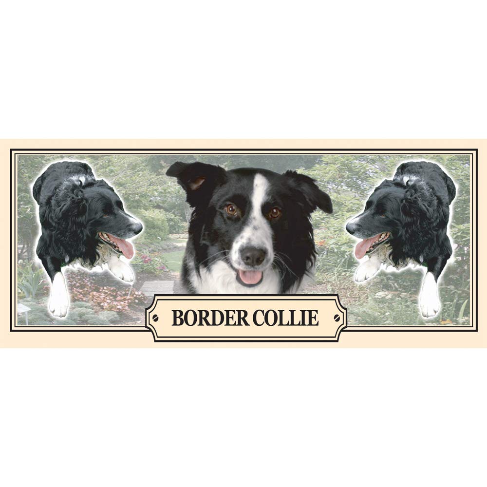 Border Collie Dog Breed Gift Mug with Treats