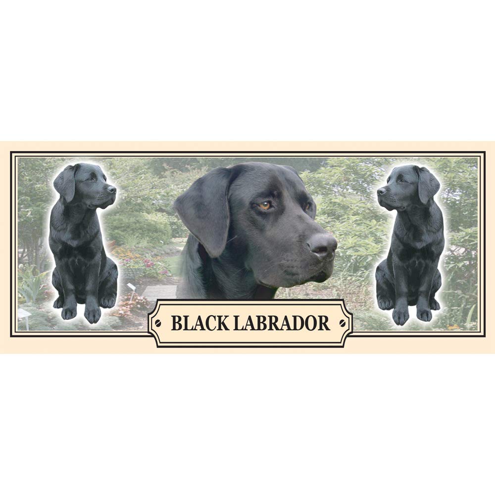 Black Labrador Dog Breed Gift Mug with Treats