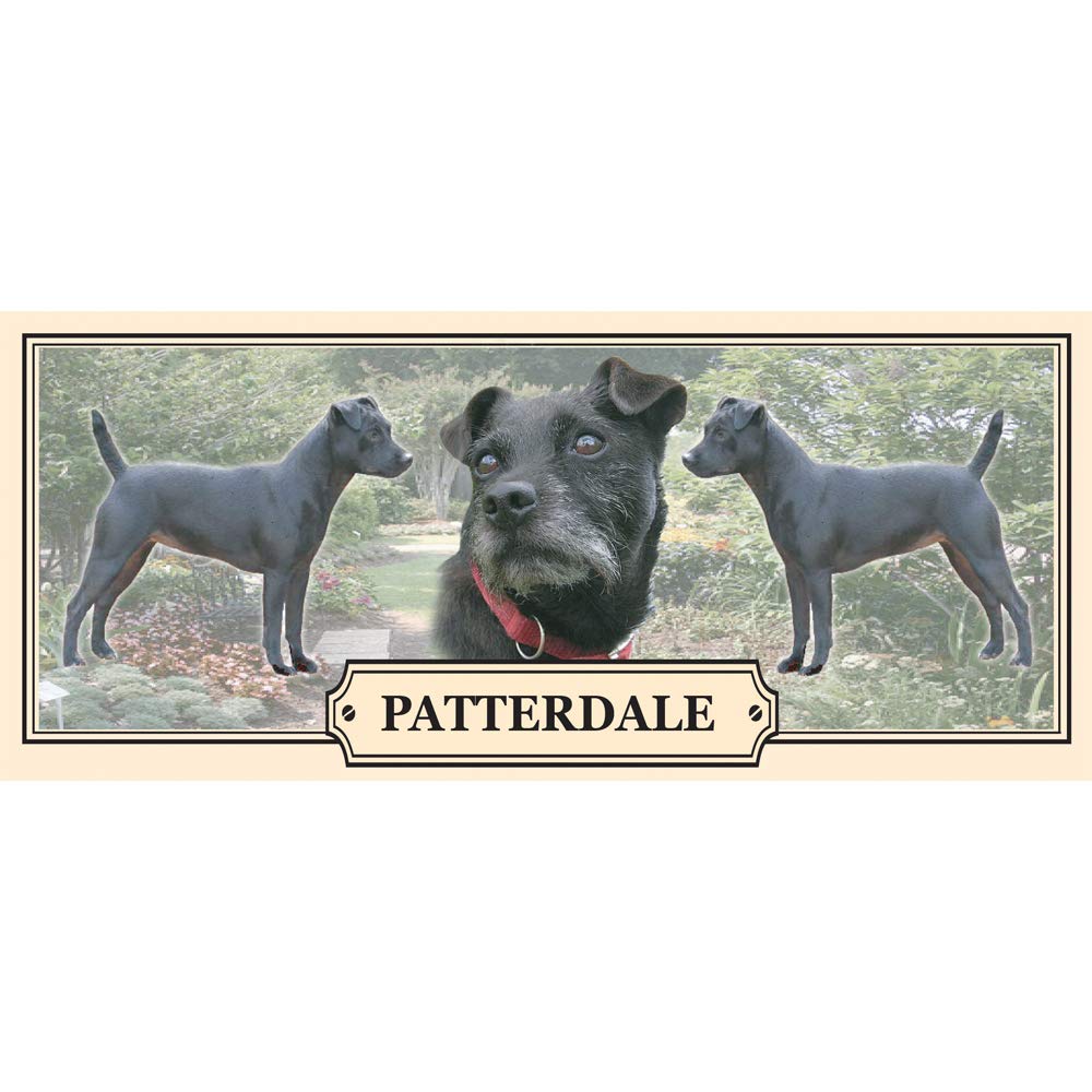 Patterdale Terrier Dog Breed Gift Mug with Treats