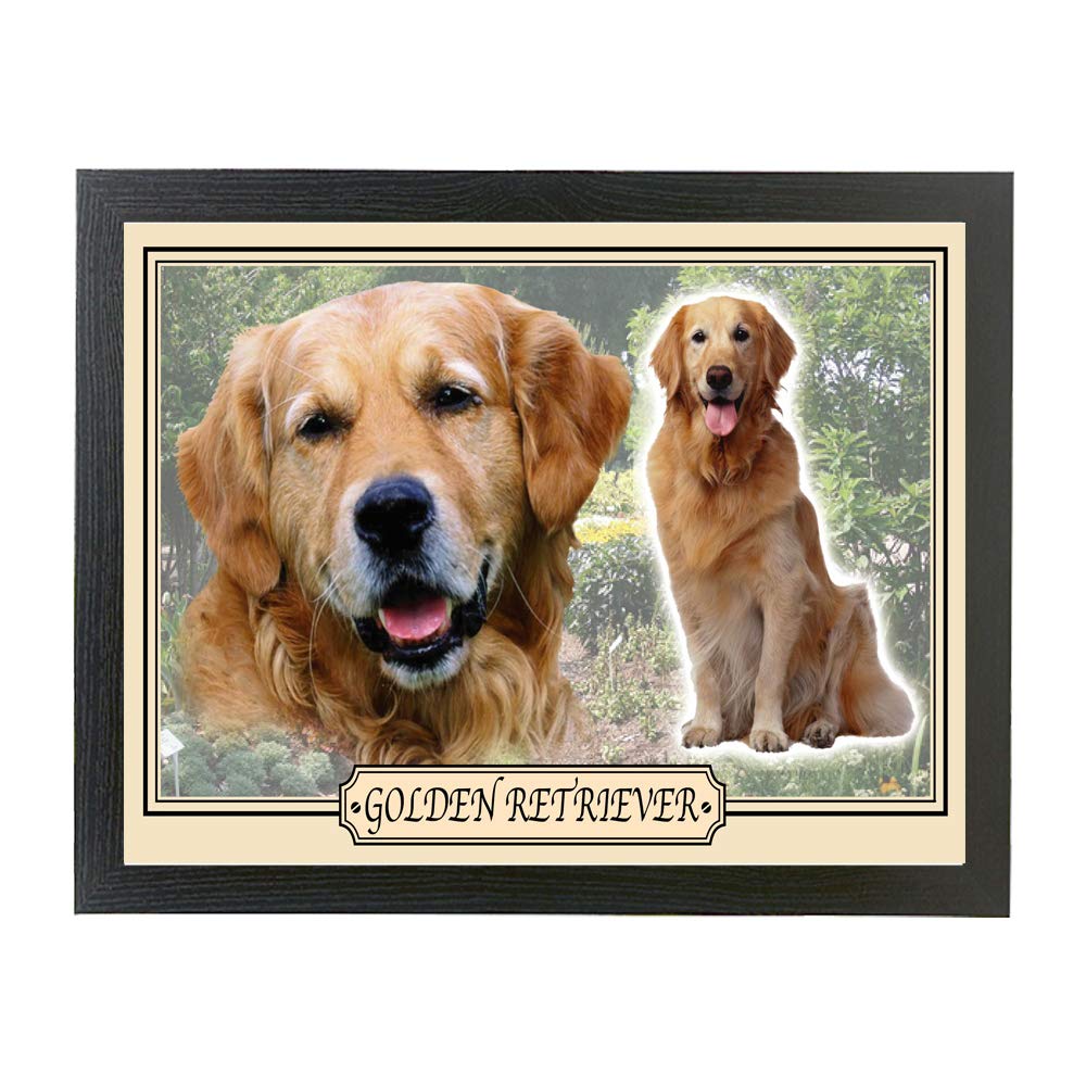 Golden Retriever Dog Breed Gift Lap Tray
