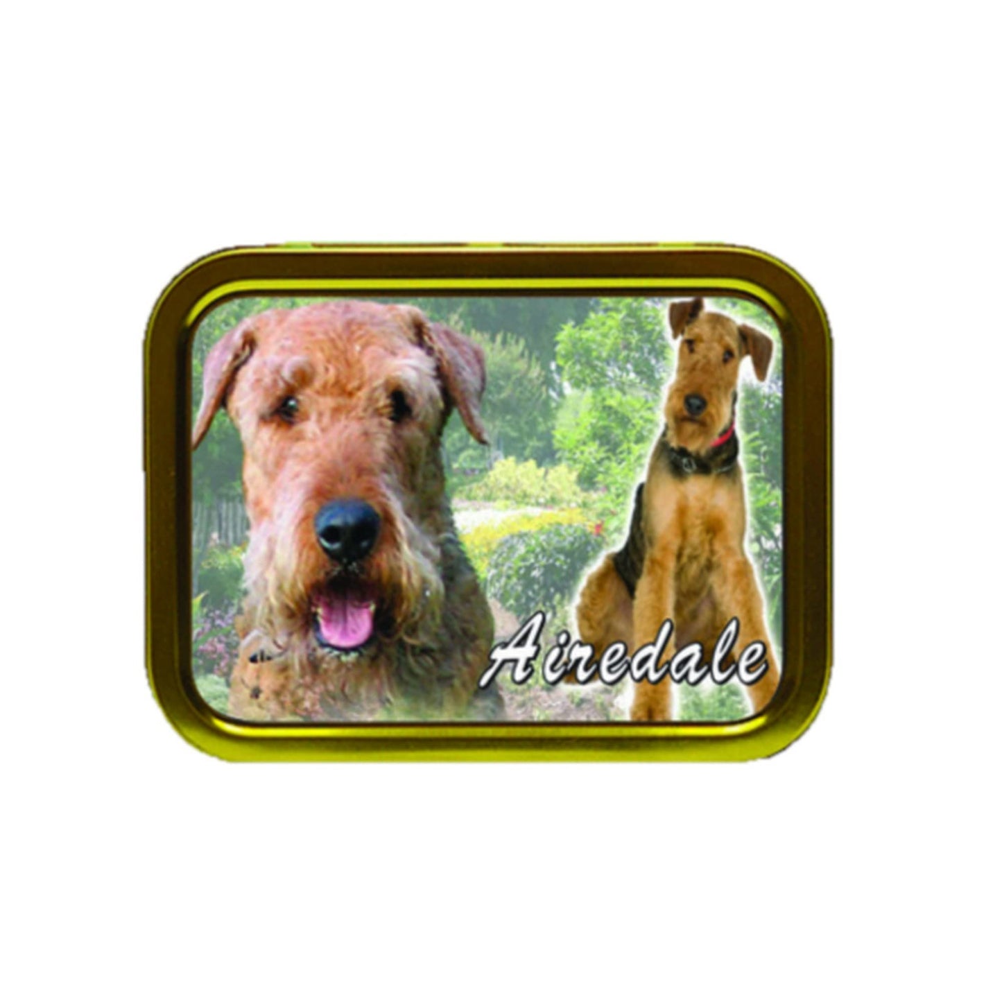 Airedale Dog Breed Tobacco Tin & Products Gift