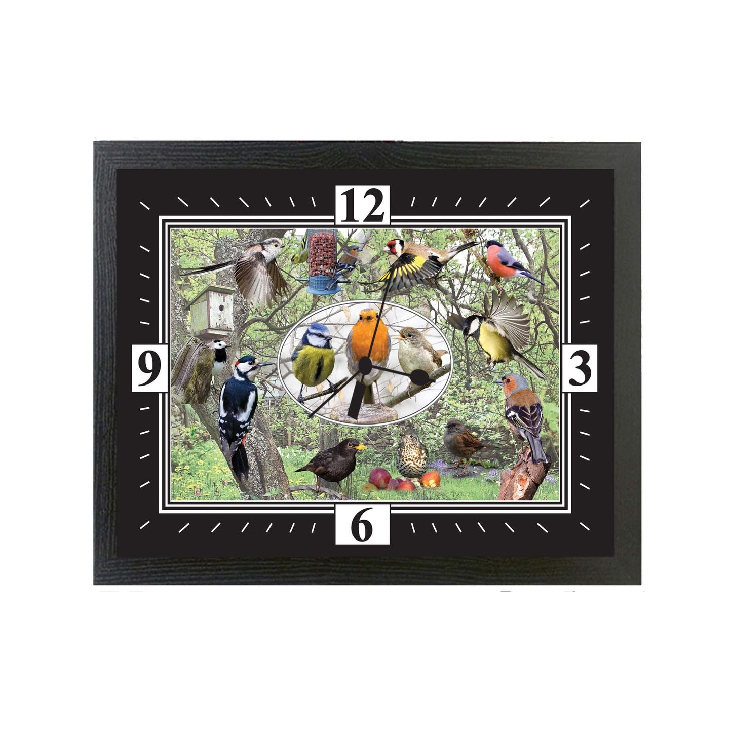 British Garden Birds Wall Clock Gift