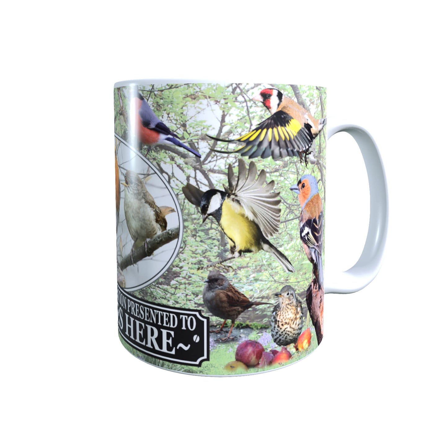 British Garden Birds Personalised Mug Gift