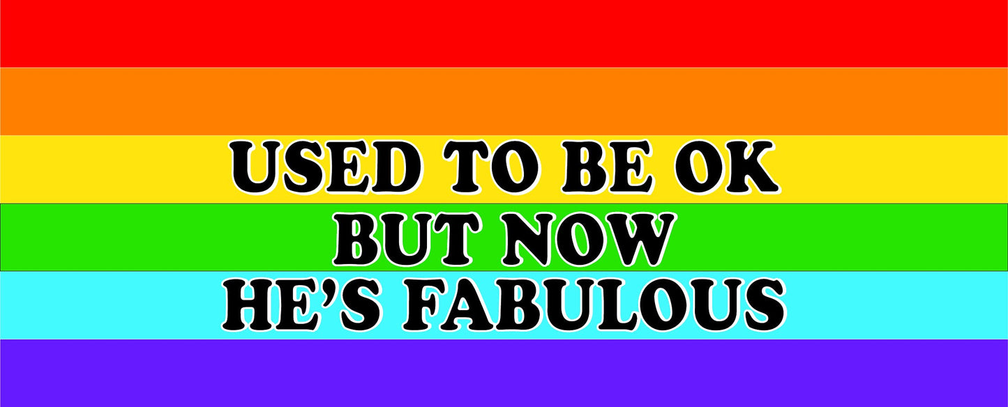 Used to Be Okay, Now He's Fabulous Gay Pride Gift Mug